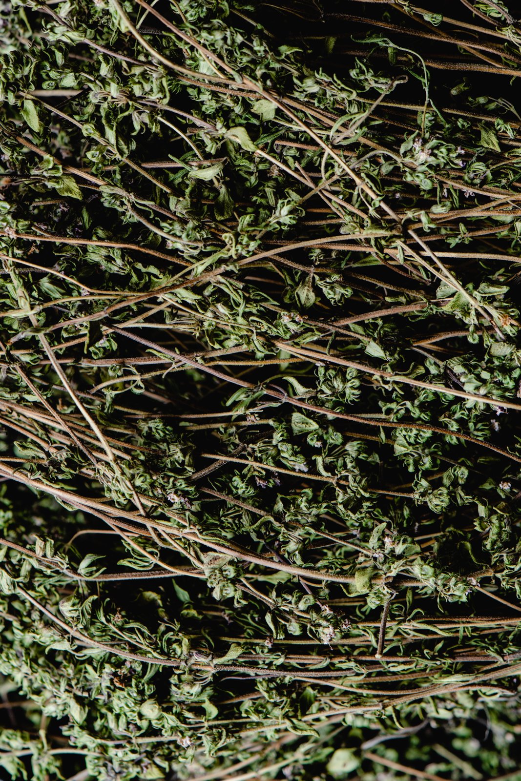 Dried thyme sprigs, the kind of dried aerial herb material that botanical extracts start from